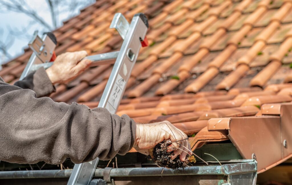 Gutter cleaning